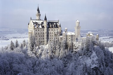Schloss Neuschwanstein in winter, verschneit, auf einem Hügel mit Bäumen im Vordergrund | © Kleinwalsertal Tourismus eGen • Schloss Neuschwanstein • Fotograf: Anton Brandl