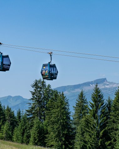 Zwei Kabinen einer Seilbahn hängen über einer grünen Baumlandschaft, mit Bergen im Hintergrund, bei Sonnenwetter. | © Oberstdorf · Kleinwalsertal Bergbahnen