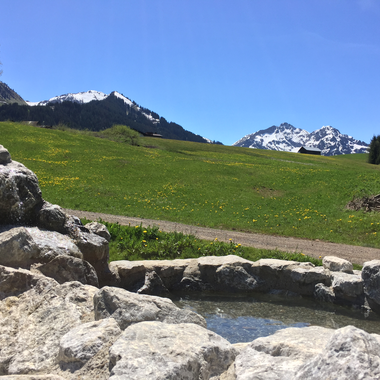 A water treading basin in a scenic alpine landscape with green meadows, snow-capped mountains, and a clear blue sky. | © Kleinwalsertal Tourismus eGen