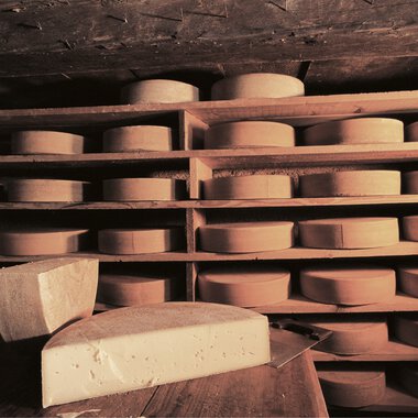 Käse in Scheiben in einem Keller, mit einem großen Laib Käse im Vordergrund. | © Kleinwalsertal Tourismus eGen • Fotograf: Hans Wiesenhofer