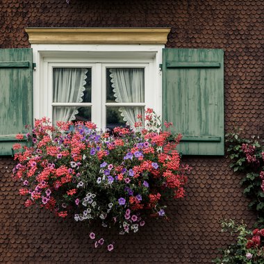 Fenster mit grünen Holzläden und Blumenkasten mit bunten Blumen vor einer roten Fassade eines Walserhauses. | © Kleinwalsertal Tourismus eGen • Fotograf: Oliver Farys