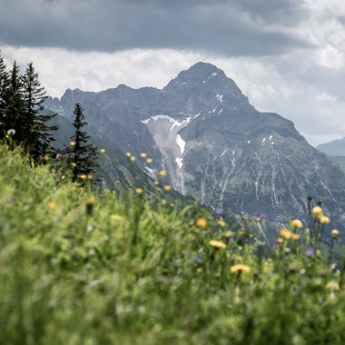 Landschaft mit grünen Wiesen, bunten Blumen im Vordergrund und Berggipfeln im Hintergrund bei bewölktem Himmel.