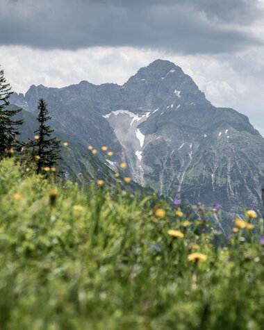 Landschaft mit grünen Wiesen, bunten Blumen im Vordergrund und Berggipfeln im Hintergrund bei bewölktem Himmel.