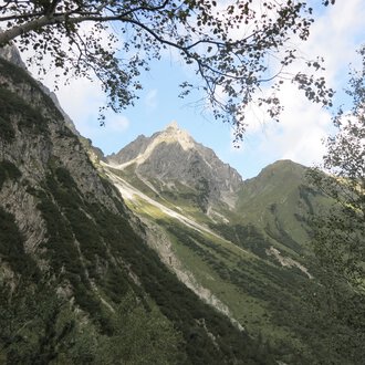 Berglandschaft mit schroffen Gipfeln und grünen Hängen, sichtbare Blätter eines Baumes im Vordergrund.