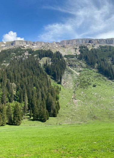 Berglandschaft mit grünem Tal, dichte Wälder und blauer Himmel mit Wolken am Himmel. | © Kleinwalsertal Tourismus eGen