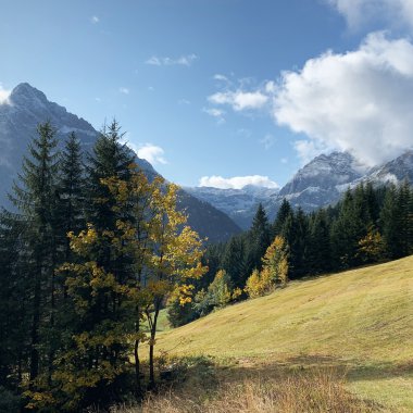 Berglandschaft mit Wäldern, Wiesen und Bergen unter einem blauen Himmel mit Wolken im Hintergrund.