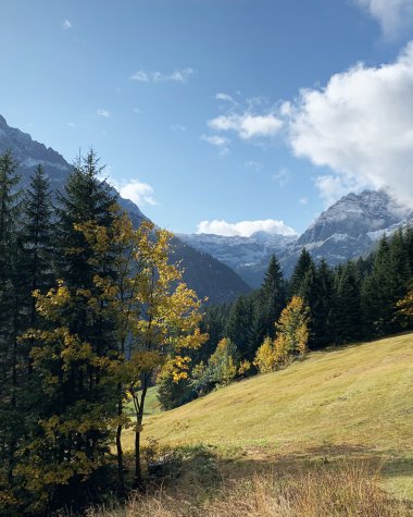 Berglandschaft mit Wäldern, Wiesen und Bergen unter einem blauen Himmel mit Wolken im Hintergrund.