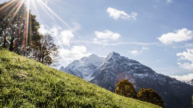 Landschaftsaufnahme mit grüner Wiese im Vordergrund, bergigem Hintergrund und Sonne, die im oberen linken Bildwinkel scheint.