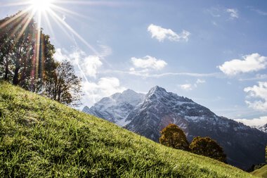 Landschaftsaufnahme mit grüner Wiese im Vordergrund, bergigem Hintergrund und Sonne, die im oberen linken Bildwinkel scheint.