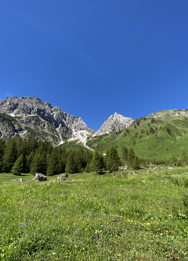 Landschaft mit grünem Tal, Wäldern und Bergen unter klarem blauen Himmel während des Sommers.