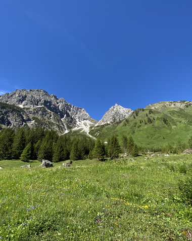 Landschaft mit grünem Tal, Wäldern und Bergen unter klarem blauen Himmel während des Sommers.