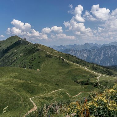 Panoramaaufnahme von der Kanzelwand mit grünem Bergland, Wanderweg und Blick auf umliegende Berge bei schönem Wetter. | © Kleinwalsertal Tourismus eGen • Fotograf: Steffen Berschin