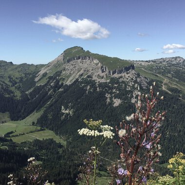 Beeindruckende Berglandschaft mit grünen Hängen, Blick auf den Ifen im Sommer, mit einem blauen Himmel und Wolken
