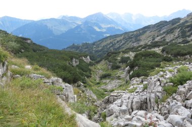 Landschaftsaufnahme mit grünen Hügeln, Felsen und Bergen im Hintergrund, typische alpine Szenerie im Sommer.