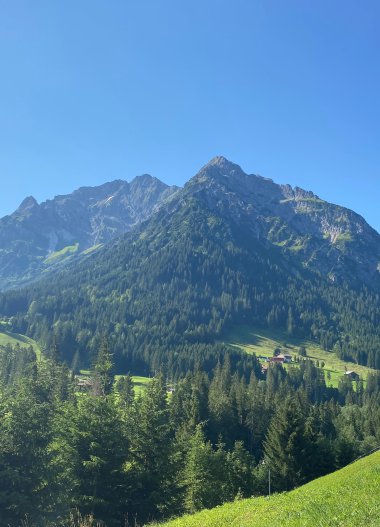 Berglandschaft mit hohen Gipfeln, grüne Hügel und dichte Wälder unter blauem Himmel.
