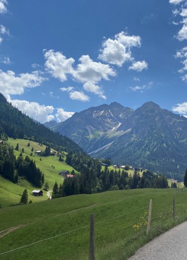 Landschaft mit grünen Hügeln, Bäumen und Bergen unter einem blauen Himmel mit Wolken.