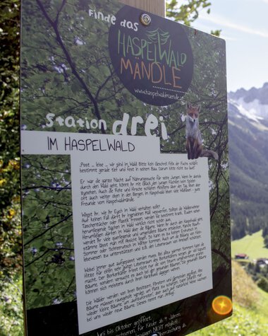 Infotafel im Haspelwald mit Beschreibung der Wanderung im Kleinwalsertal, umgeben von grünen Wiesen und Bergen.