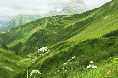 Grüne, bergige Landschaft mit Wiesen und Blumen im Derratal, umgeben von hohen Bergen im Kleinwalsertal.