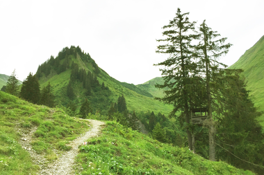 Wanderweg im malerischen Derratal im Kleinwalsertal, umgeben von grünen Bergen und Tannen, bei schönem Wetter.