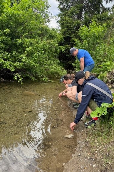 Vier Menschen am Ufer eines Baches, sie bücken sich, um Wasserproben zu nehmen oder Steine zu untersuchen, umgeben von grünen Bäumen.