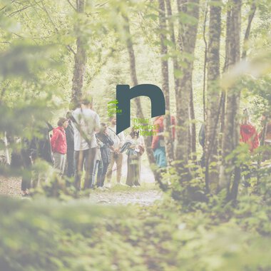 Gruppe von Menschen, die einen Waldweg im Sonnenlicht entlanggehen, mit Bäumen und grüner Natur im Hintergrund.