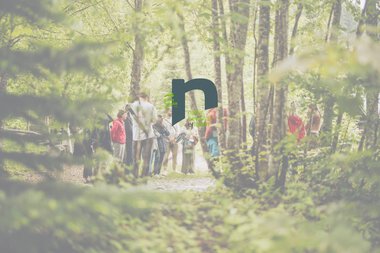Gruppe von Menschen, die einen Waldweg im Sonnenlicht entlanggehen, mit Bäumen und grüner Natur im Hintergrund.
