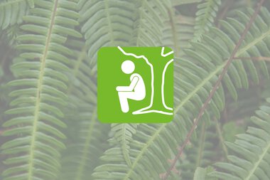 Icon eines Naturtoiletts, Personen sitzt auf einer Toilette im Freien unter einem Baum.