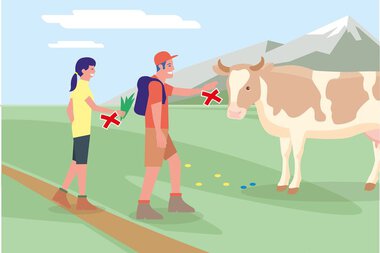 Zwei Wanderer halten Abstand zu einer Kuh auf einer Alm, um die Tiersicherheit zu gewährleisten.