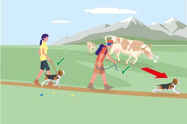 Illustration von Personen, die mit Hunden in einer Wiese mit Bergen im Hintergrund Gassi gehen. Der Hund im Vordergrund läuft ins Wasser, andere Hunde bleiben an der Leine.