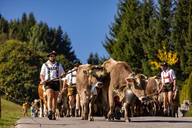© Kleinwalsertal Tourismus eGen • Photographer: Frank Drechsel