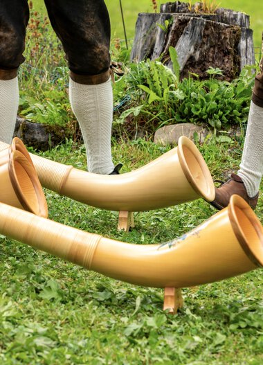 Menschen beim Alphornspiel, zwei Alphörner liegen auf dem Gras, im Hintergrund Bäume und ein Baumstumpf.