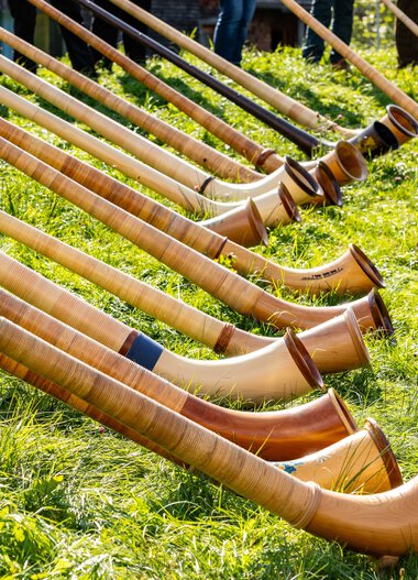 Mehrere Alphörner liegen auf einer Wiese, bereit für den Einsatz beim Alphornfestival 2024. | © Kleinwalsertal Tourismus eGen • Fotograf: Frank Drechsel