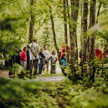 Gruppe von Menschen beim Wandern im grünem Wald, bei Footprint Festival 2024 im Kleinwalsertal.