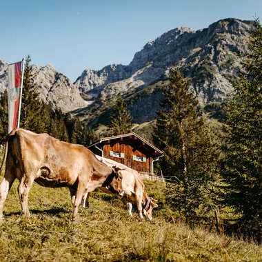 © Kleinwalsertal Tourismus eGen • Fotograf: Sascha Gast