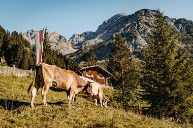 © Kleinwalsertal Tourismus eGen • Fotograf: Sascha Gast