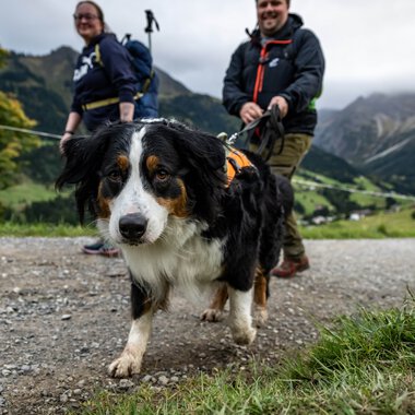 © Kleinwalsertal Tourismus eGen • Photographer: Dominik Berchtold